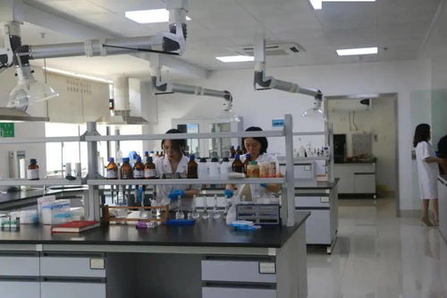 湖南科技宣傳周暨衡陽食品藥品檢驗(yàn)檢測(cè)實(shí)驗(yàn)室公眾開放日 網(wǎng)絡(luò)技術(shù)服務(wù)助推市民科普體驗(yàn)