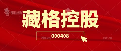 藏格控股二審維持原判 投資者索賠持續推進，日用品貿易銷售業務前景引關注